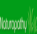 Naturopathy & Yoga Research Center Indore